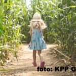 foto: KPP Głubczyce