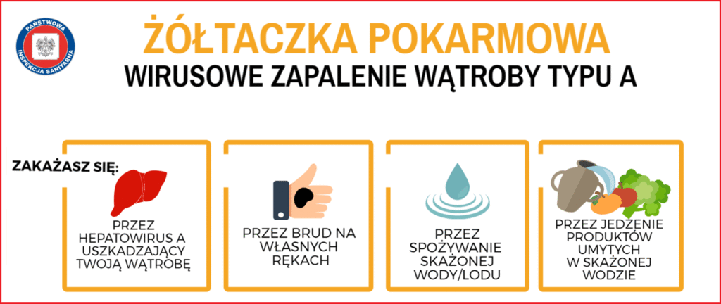 1460x616-1024x432 MSZ ostrzega przed wyjazdami do Czech. Epidemia WZW typu A tuż za południową granicą powiatu głubczyckiego