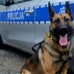 foto: https://glubczyce.policja.gov.pl/