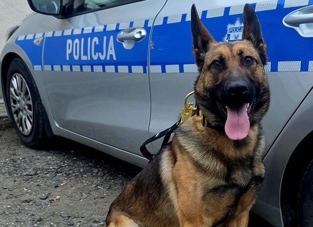 foto: https://glubczyce.policja.gov.pl/